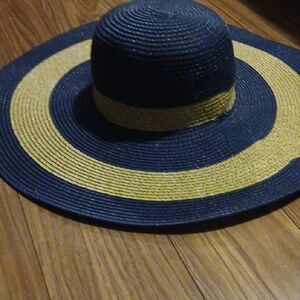 Stylish Blue and Tan Wide Brim Hat
